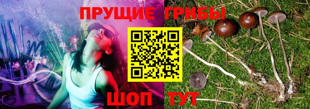 Галлюциногенные грибы MAGIC MUSHROOMS  Вход с VPN  Галлюциногенные грибы Cubensis  Кунгур 